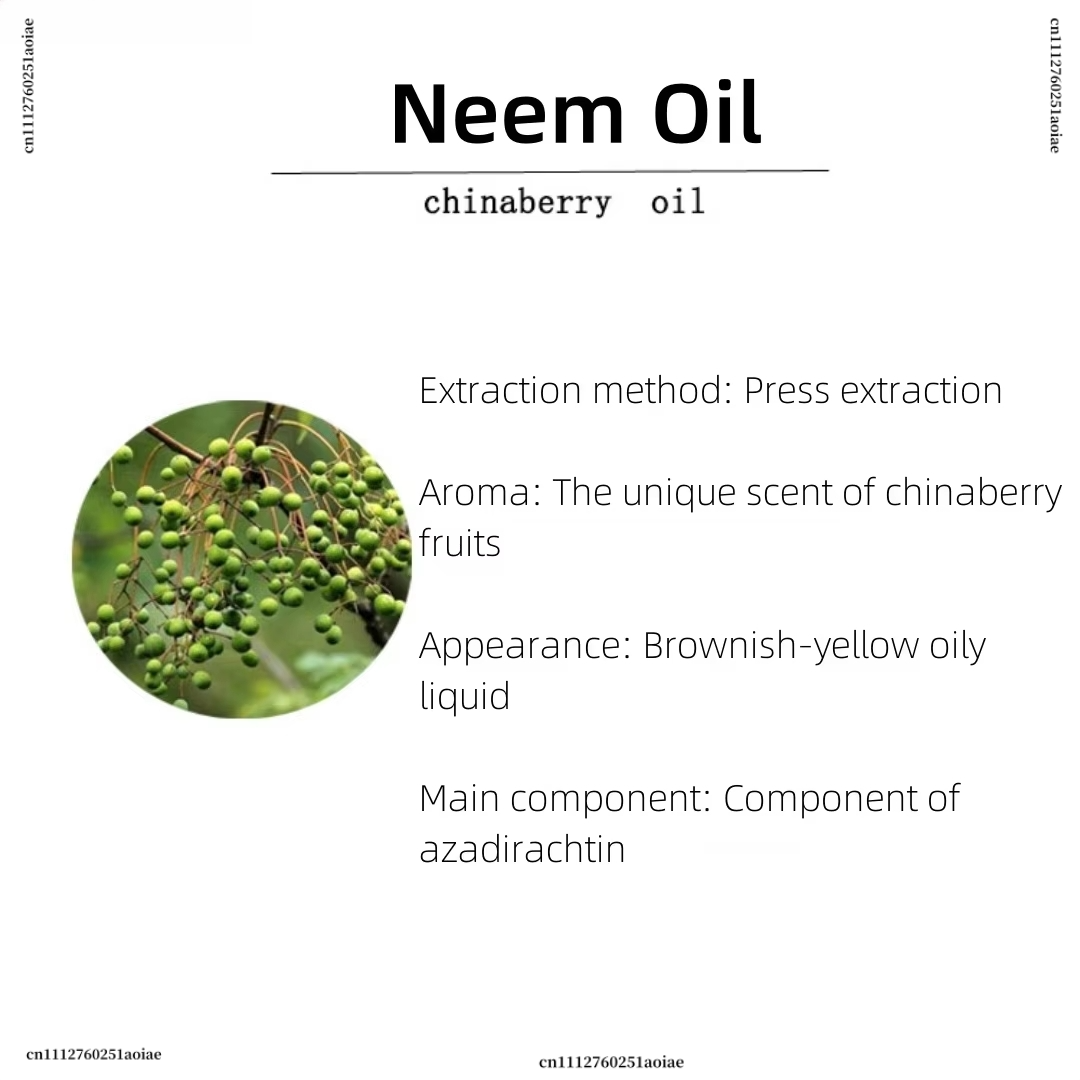 Organic Neem Oil - Spiritual I - огляд і ціна Home Fragrance Incense