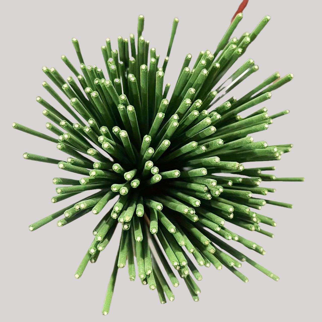 Reed Diffuser Sticks Lemongras - огляд і ціна Home Fragrance Elements
