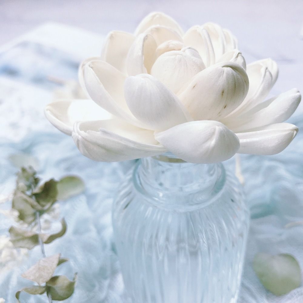 Expand Fragrance Flower For Ho - огляд і ціна Home Fragrance Incense